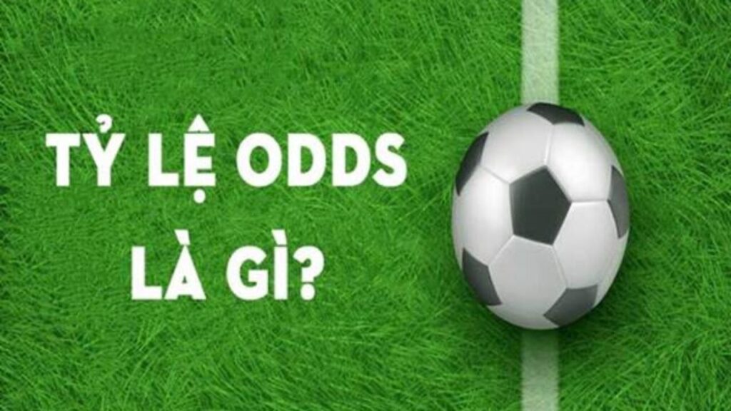 Những giai đoạn cơ bản trong trận Odds là gì?