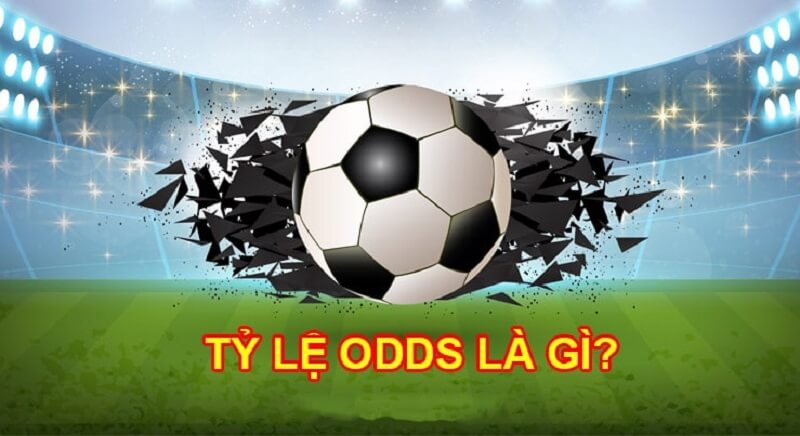 Tìm hiểu khái niệm odds là gì?